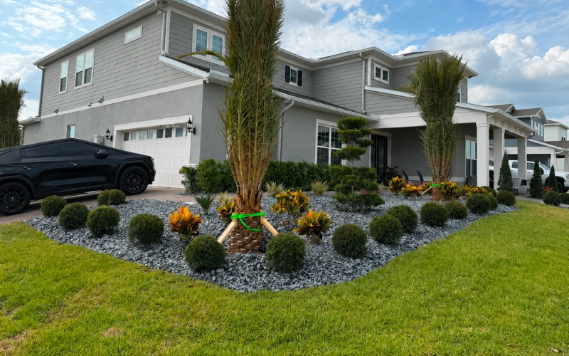 Landscape design project in Central Florida
